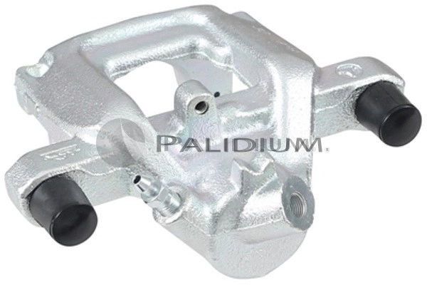 PAL41793 Ashuki