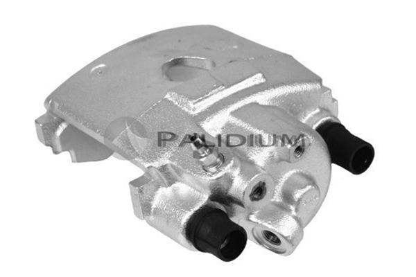 PAL41507 Ashuki