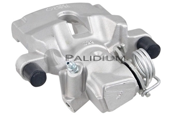 PAL41748 Ashuki