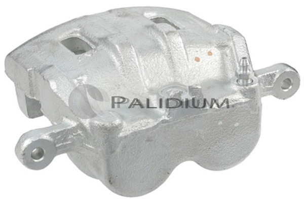 PAL42671 Ashuki