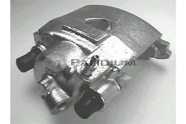 PAL42634 Ashuki