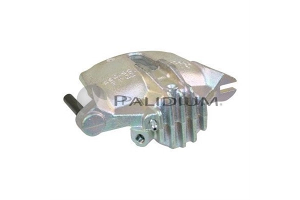 PAL42470 Ashuki