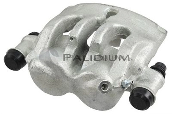 PAL41550 Ashuki