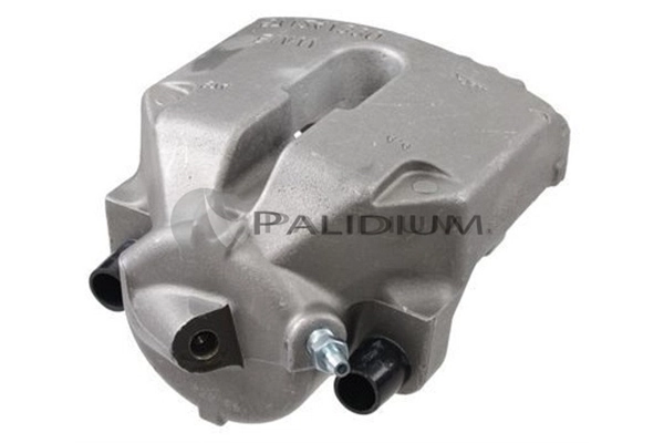 PAL41394 Ashuki
