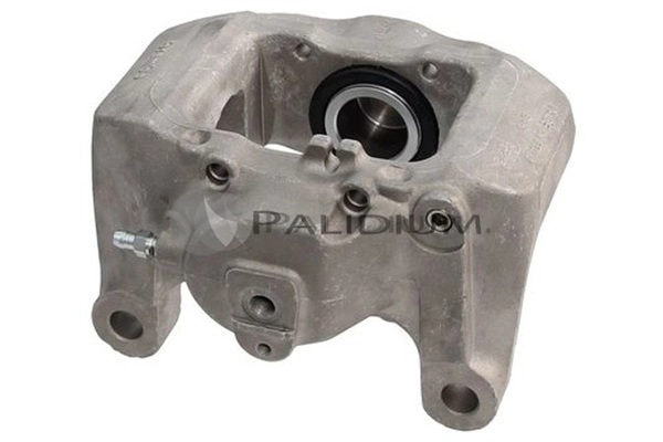PAL41560 Ashuki