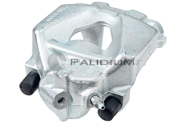 PAL41755 Ashuki