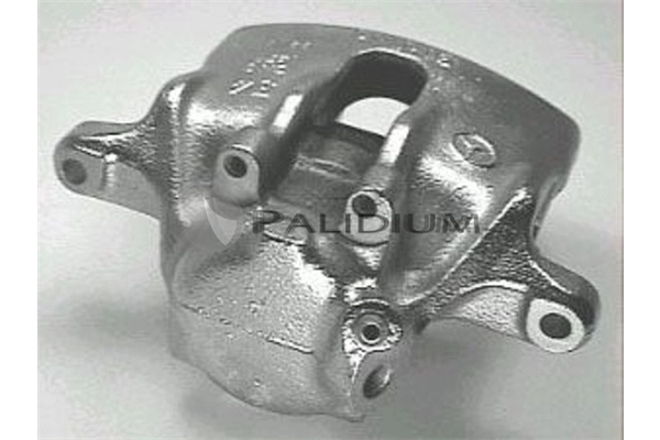 PAL41592 Ashuki