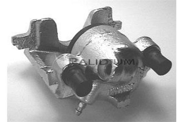 PAL41626 Ashuki
