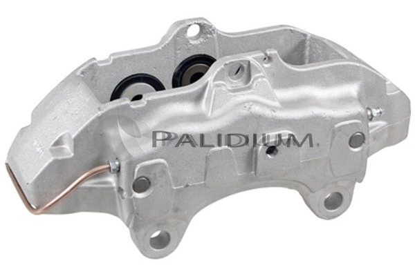 PAL41760 Ashuki