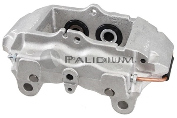 PAL41558 Ashuki