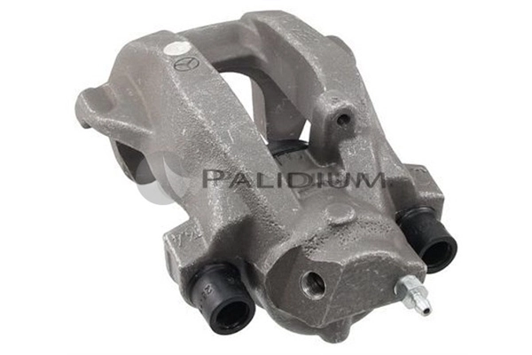 PAL41527 Ashuki