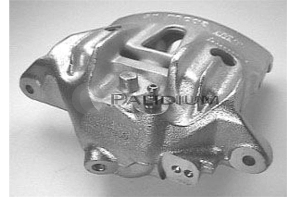PAL41054 Ashuki