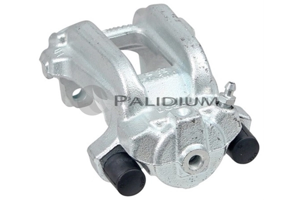PAL42604 Ashuki
