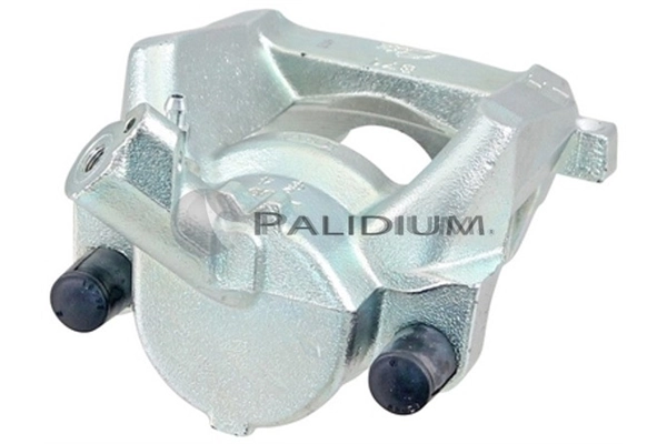 PAL41838 Ashuki