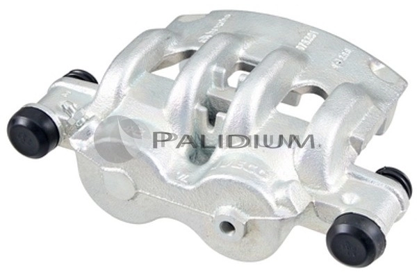 PAL42611 Ashuki