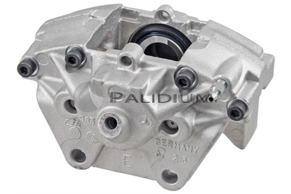 PAL41872 Ashuki