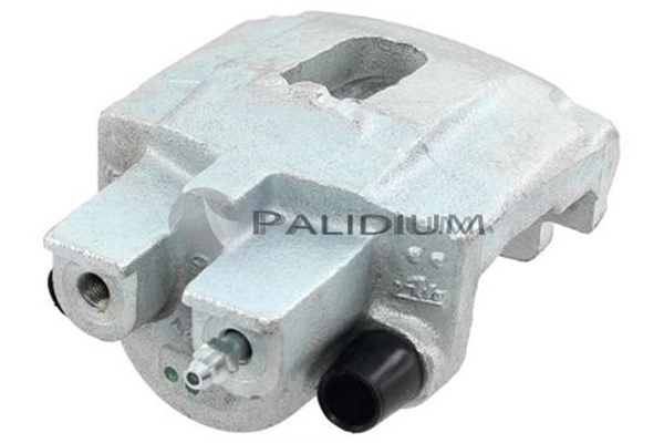 PAL41542 Ashuki