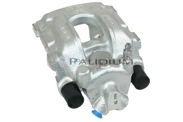 PAL41461 Ashuki