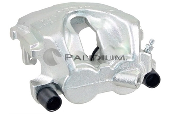 PAL41835 Ashuki