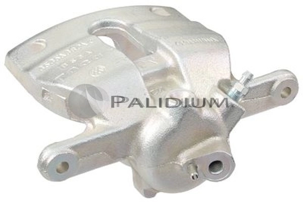 PAL41940 Ashuki