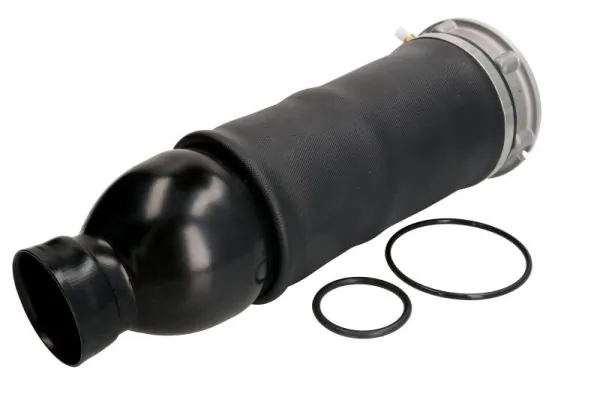 Compre REC60AS0001 Amity AP Coxim pneumático (suspensão de lâminas pneumática) do eixo dianteiro