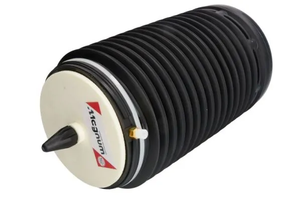 Coxim pneumático (suspensão de lâminas pneumática) do eixo traseiro Amity AP REC60AS0047