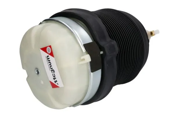 Compre REC60AS0010 Amity AP Coxim pneumático (suspensão de lâminas pneumática) do eixo traseiro