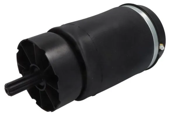 Compre REC28AS0521 Amity AP Coxim pneumático (suspensão de lâminas pneumática) do eixo traseiro