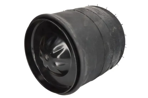 Compre A9423203021 Mercedes Coxim pneumático (suspensão de lâminas pneumática) do eixo traseiro