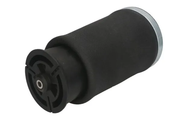 Compre REC10AS0011 Amity AP Coxim pneumático (suspensão de lâminas pneumática) do eixo traseiro