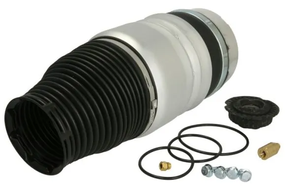Compre REC60AS0022 Amity AP Coxim pneumático (suspensão de lâminas pneumática) do eixo dianteiro