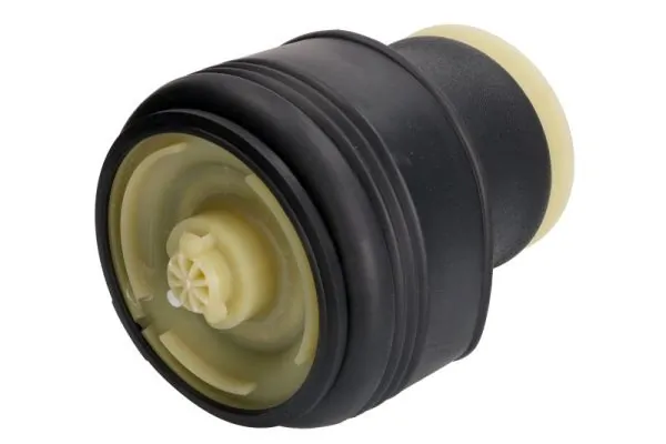 Compre REC10AS0008 Amity AP Coxim pneumático (suspensão de lâminas pneumática) do eixo traseiro