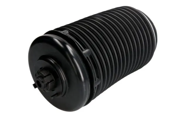 Compre REC60AS0046 Amity AP Coxim pneumático (suspensão de lâminas pneumática) do eixo traseiro