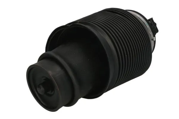 Compre REC58AS0001 Amity AP Coxim pneumático (suspensão de lâminas pneumática) do eixo traseiro