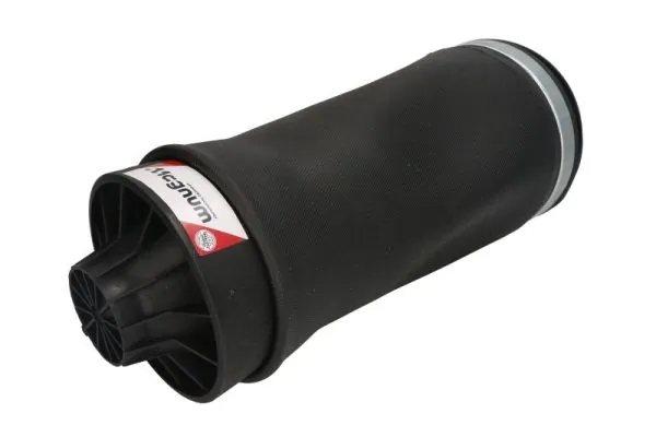 Compre REC30AS0003 Amity AP Coxim pneumático (suspensão de lâminas pneumática) do eixo traseiro