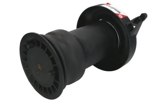 Compre REC42AS0005 Amity AP Coxim pneumático (suspensão de lâminas pneumática) do eixo traseiro