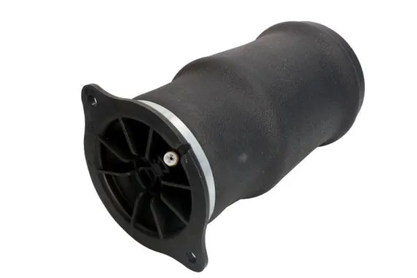 Compre REC34AS0031 Amity AP Coxim pneumático (suspensão de lâminas pneumática) do eixo traseiro