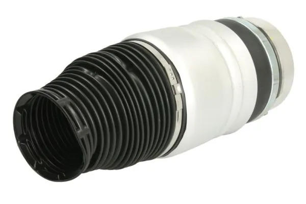 REC60AS0021 Amity AP Coxim pneumático (suspensão de lâminas pneumática) do eixo dianteiro