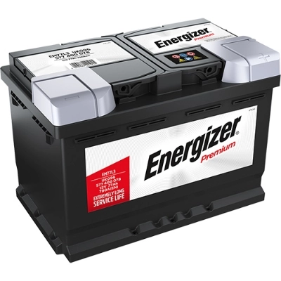 EM77L3 Energizer