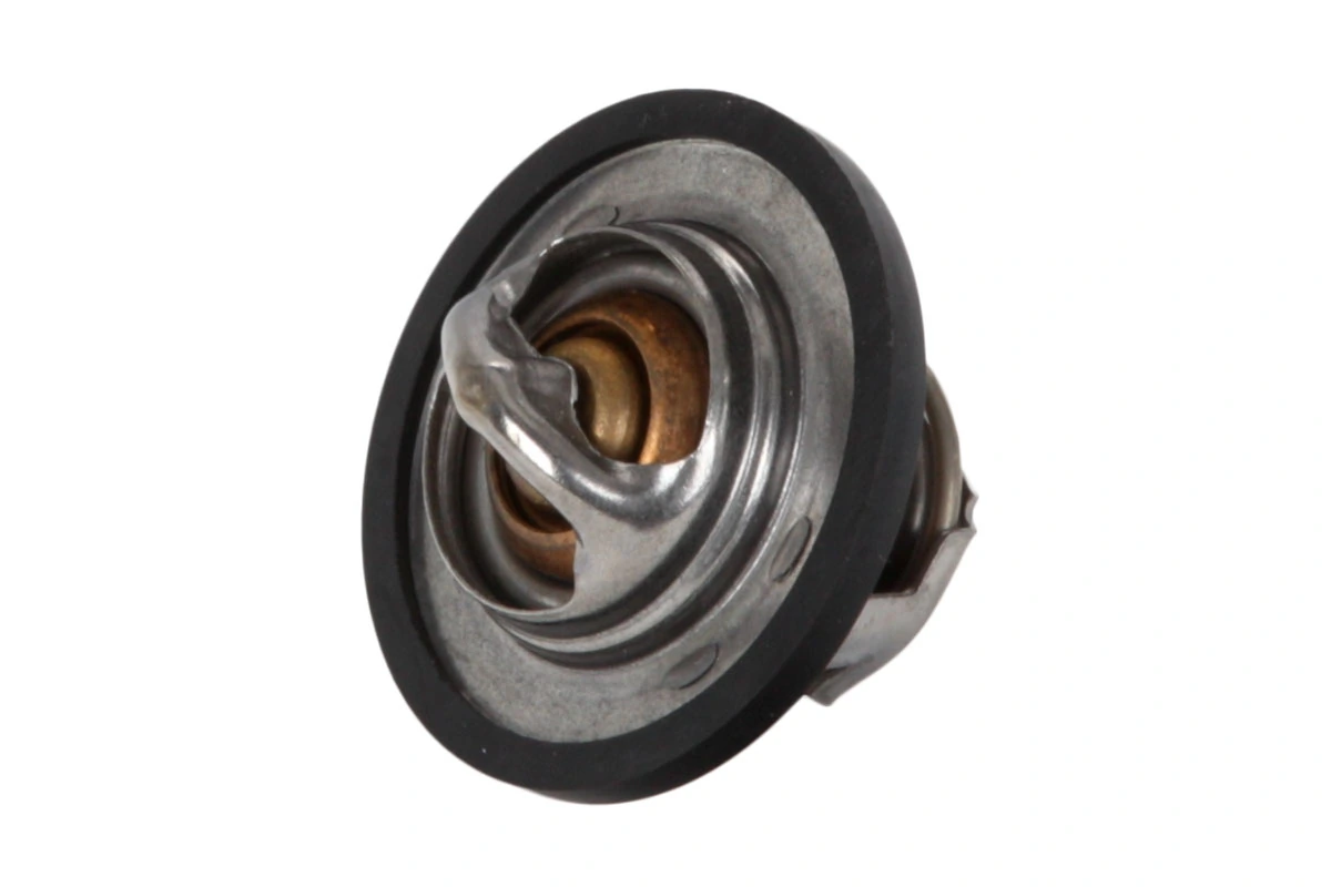  Termostato Ford Transit III plataforma a bordo (V) (1977 - 1986) III