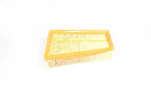 Compre AF251 Maxgear Filtro de ar