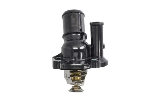 D2G014TT Thermotec Termostato