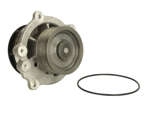 Bomba de água (bomba) de esfriamento Thermotec WPDF113 preço, a partir de 167,56 USD