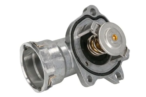 D2M011TT Thermotec Termostato
