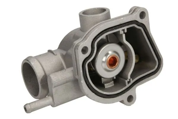 D2M008TT Thermotec Termostato