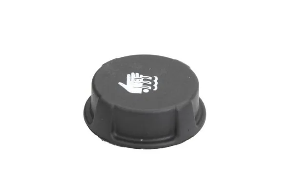 5010141465 Renault (RVI) Tanque de expansão do sistema de esfriamento