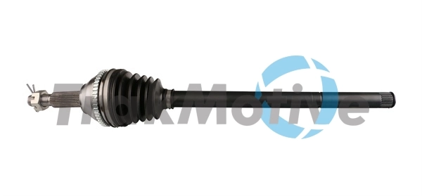 360009 Trakmotive/Surtrack