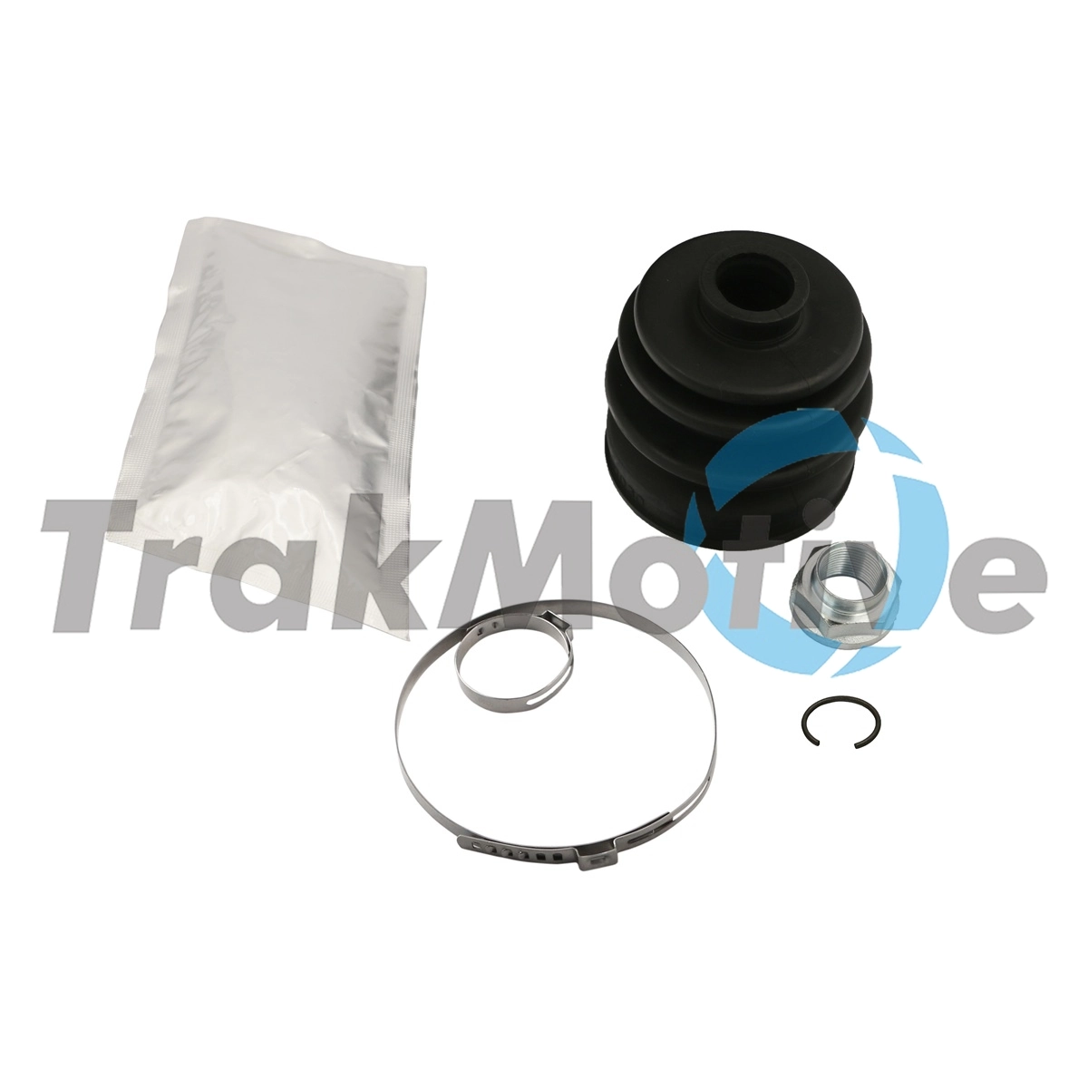 500591 Trakmotive/Surtrack