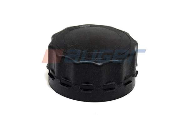 Tampa (tampão) do tanque de expansão para Renault Trucks MAGNUM I 