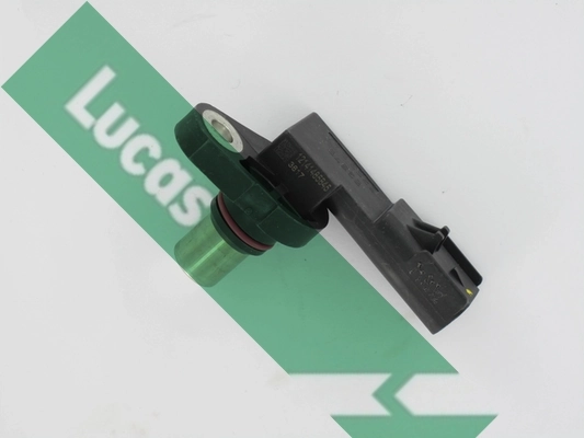 SEB2073 Lucas